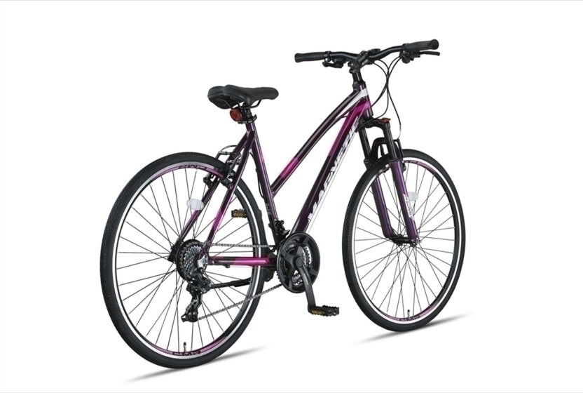 Magnetic 28 Inch 52 cm Women 21SP Rim Brakes Anthracite,