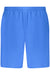 Calvin Klein Mens Blue Short Pants