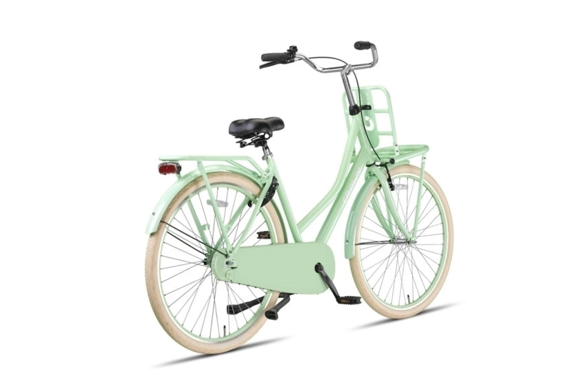 Holland 28 Inch 53 cm Women Coaster Brake Mint Green,